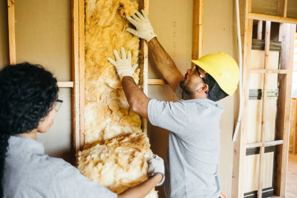 Best Energy-efficient Insulation  in Arnaudville, LA