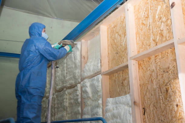 Best Insulation Repair Services  in Arnaudville, LA