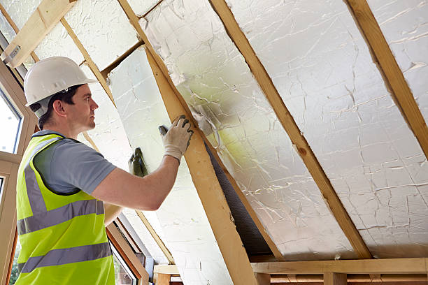 Best Insulation Inspection Services  in Arnaudville, LA